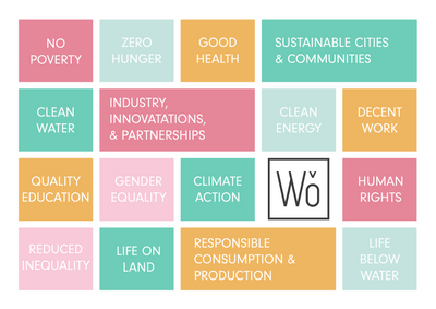 How The United Nations Sustainable Development Goals Are Impacting Brands