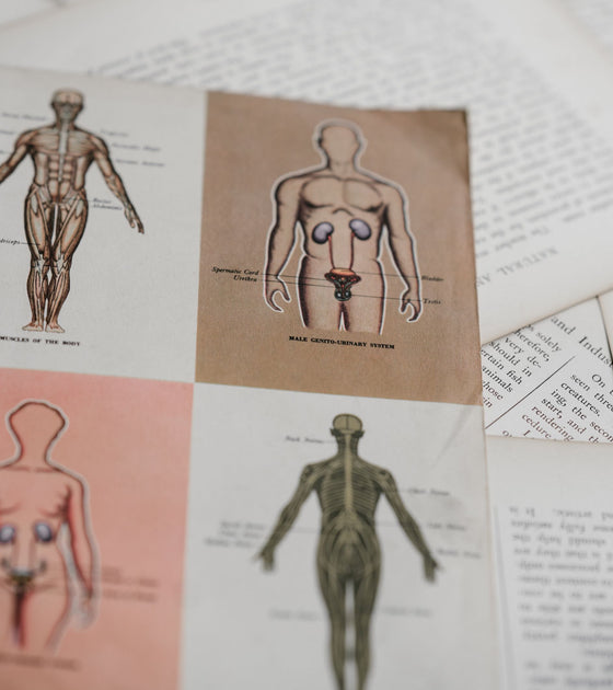 Full Body MOT | Our Journal | Wo